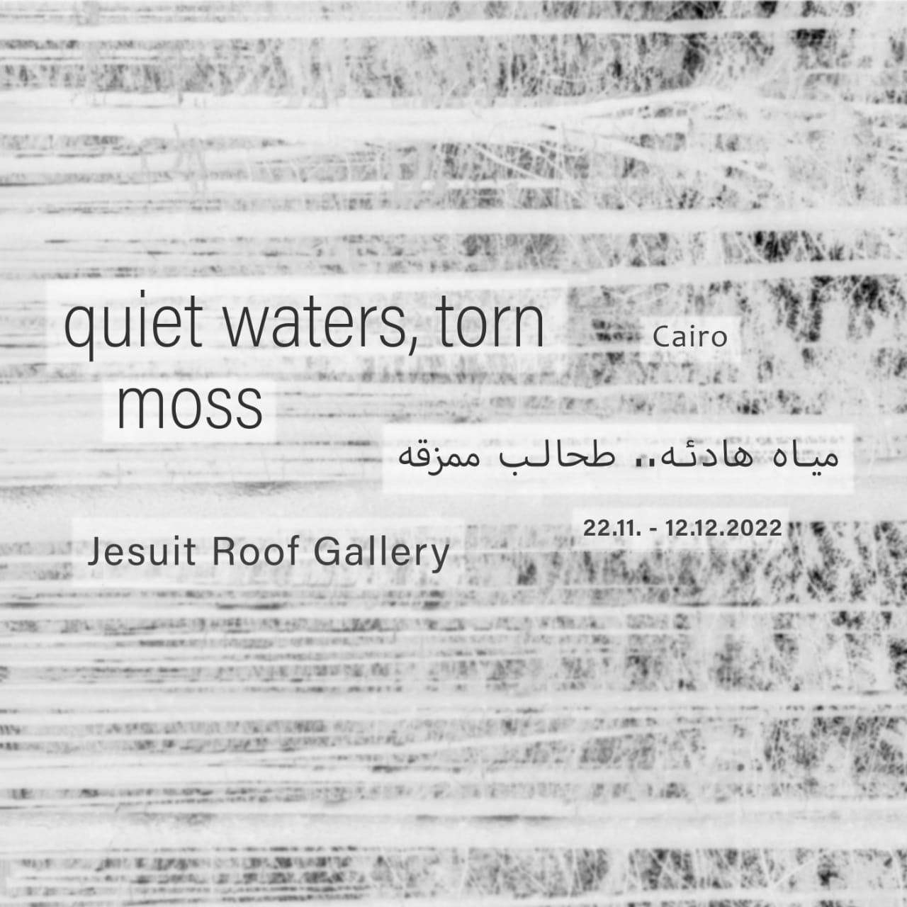 Quiet Waters, Torn Moss